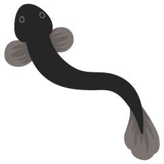 ���Ȃ��̂ڂ�